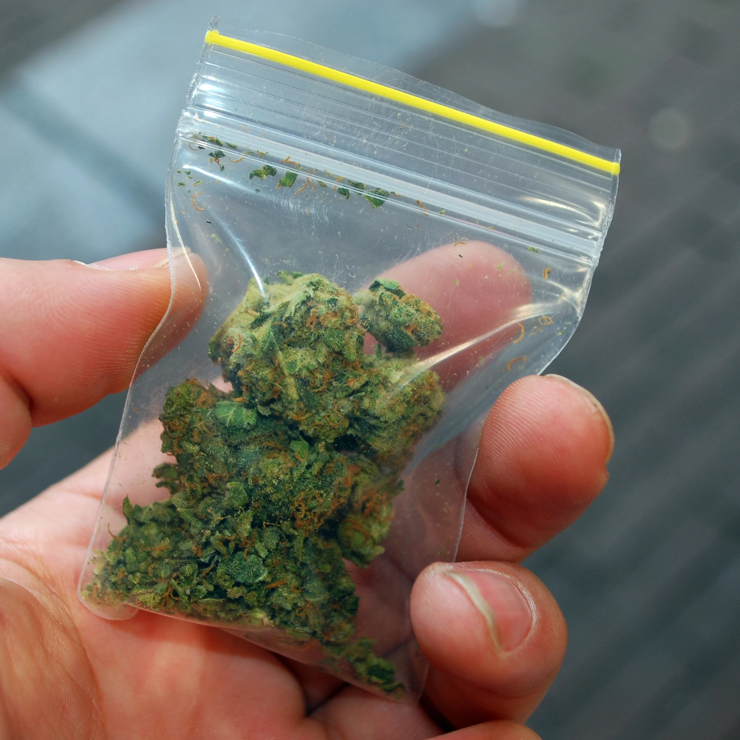我可以在葡萄牙吸大麻吗？葡萄牙毒品法解释