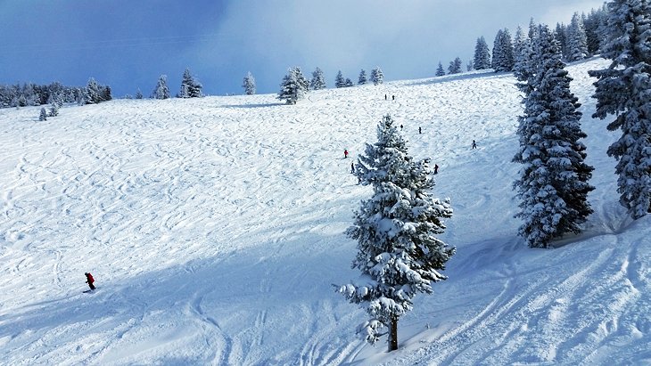 2024/25 科罗拉多州 12 个顶级滑雪度假村